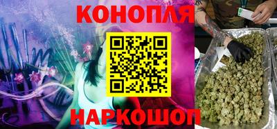 jwh Кингисепп