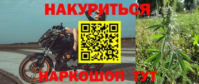 jwh Кингисепп