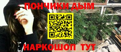 jwh Кингисепп