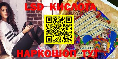 jwh Кингисепп