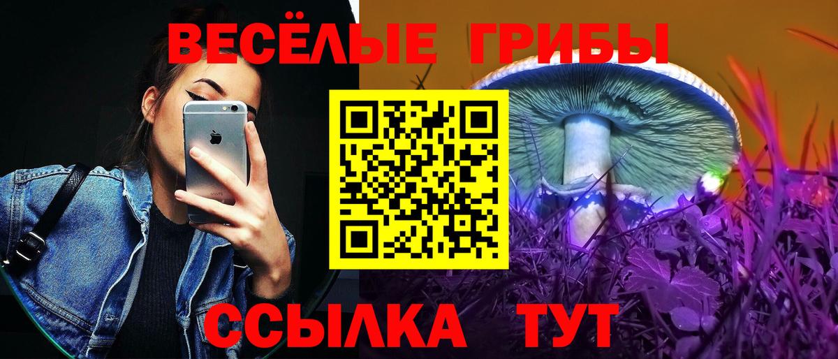 Псилоцибиновые грибы мицелий Волгодонск